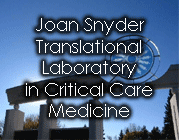 Joan Snyder Translational Lab