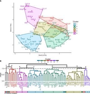 Diagram showing cytokine clustering analysis: K-means clustering suggests five optimal clusters (Figure 1A), while hierarchical clustering reveals seven (Figure 1B). Seven consensus groupings were identified, with twelve analytes grouped differently. Clusters 1-3 and 6 contain pro-inflammatory and hematopoietic factors; cluster 4, chemokines; cluster 5, major growth factors; and cluster 7 has an unclear link