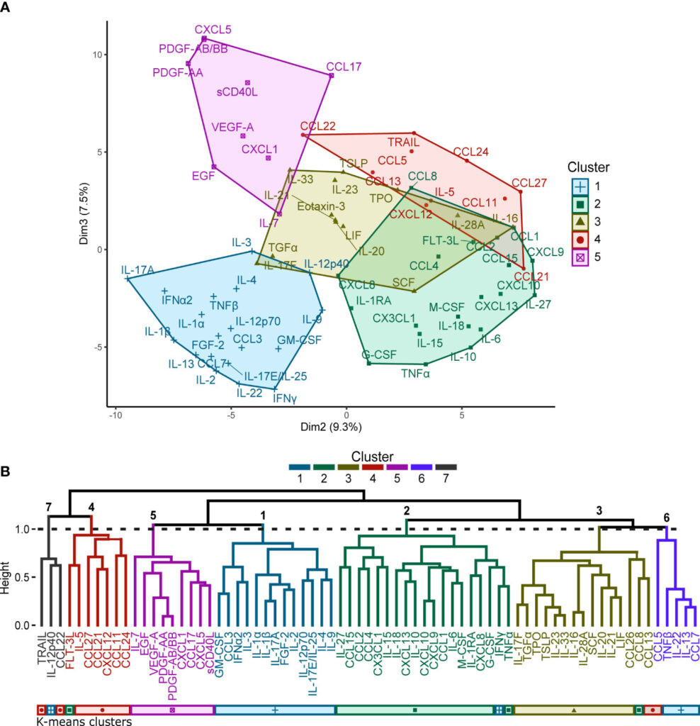 Diagram showing cytokine clustering analysis: K-means clustering suggests five optimal clusters (Figure 1A), while hierarchical clustering reveals seven (Figure 1B). Seven consensus groupings were identified, with twelve analytes grouped differently. Clusters 1-3 and 6 contain pro-inflammatory and hematopoietic factors; cluster 4, chemokines; cluster 5, major growth factors; and cluster 7 has an unclear link