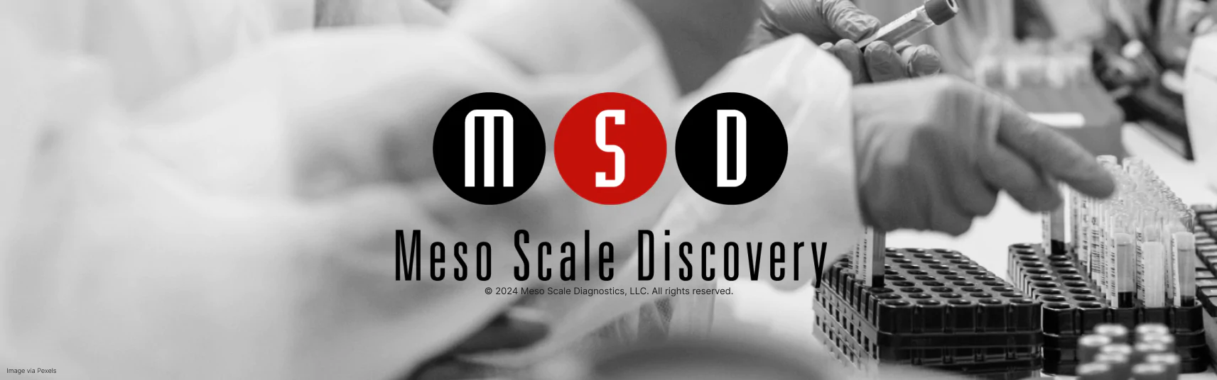 Meso Scale Discovery..