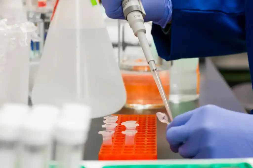 Laboratory technician performing sample preparation with pipette for biomarker testing and multiplex assay analysis